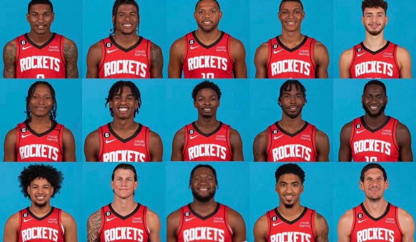 布伦森尼克斯生涯荣誉：2次二阵&2届全明星&NBA杯MVP（布伦森尼克斯时期成就：两度最佳二阵、两届全明星、NBA杯MVP）